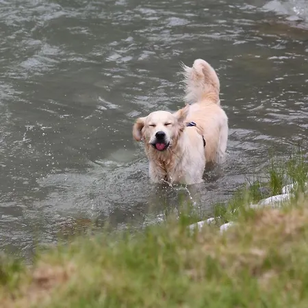 Apartamento Brandlhof *