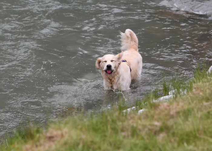 Apartament Brandlhof *